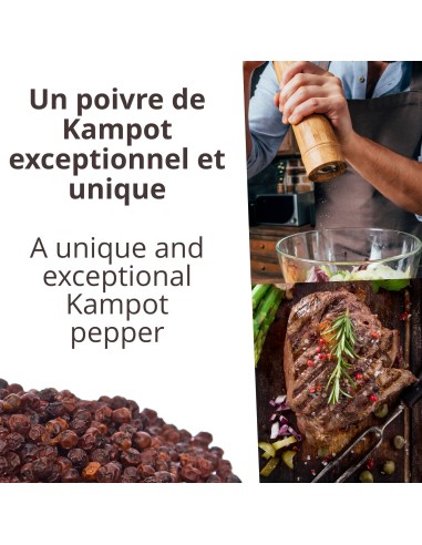 Poivre noir de Kampot IGP - Achat, Utilisations, Recettes de Cuisine