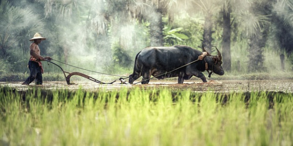 Le Cambodge, joyau de l'Asie.